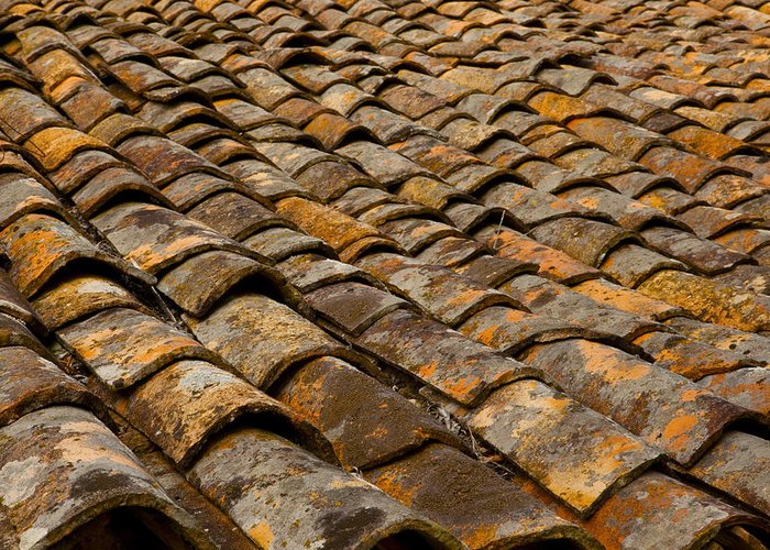 You are currently viewing FAQ:  How long does a tile roof last?